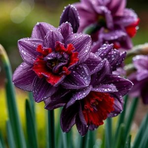 Нарцисс Минт Флер купить по цене от 2000р. в интернет-магазине «Посадика» с доставкой почтой в в Западная Двинае и по всей России – [изображение №1].