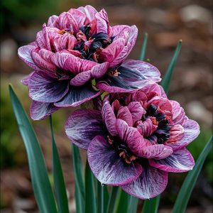 Нарцисс Моргатн Мотив купить по цене от 2000р. в интернет-магазине «Посадика» с доставкой почтой в в Западная Двинае и по всей России – [изображение №1].