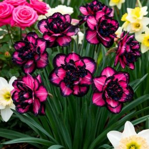 Нарцисс Золотая Корона купить по цене от 2000р. в интернет-магазине «Посадика» с доставкой почтой в в Западная Двинае и по всей России – [изображение №1].